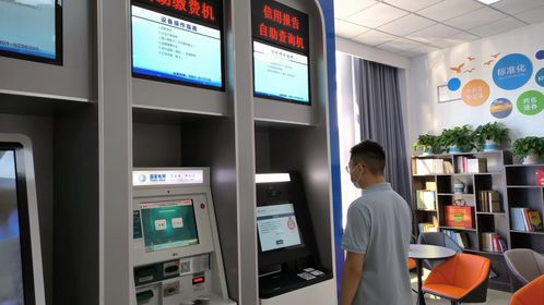 政務(wù)服務(wù)大廳引入征信報(bào)告自助查詢(xún)服務(wù)，提升便民服務(wù)水平