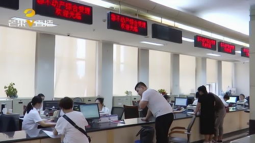 常德公開(kāi)中介服務(wù)機(jī)構(gòu)名單 助市民辦事查詢(xún)更便捷